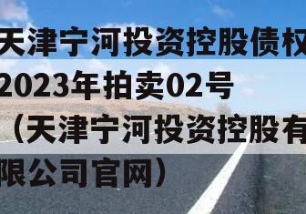 天津宁河投资控股债权2023年拍卖02号（天津宁河投资控股有限公司官网）