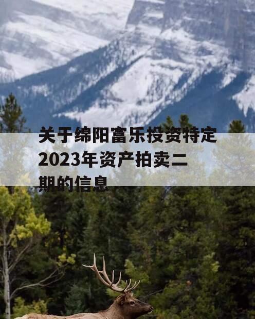 关于绵阳富乐投资特定2023年资产拍卖二期的信息