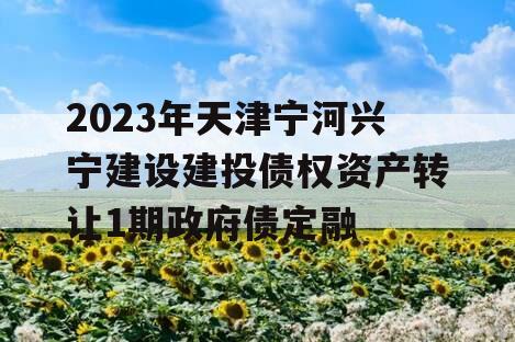 2023年天津宁河兴宁建设建投债权资产转让1期政府债定融