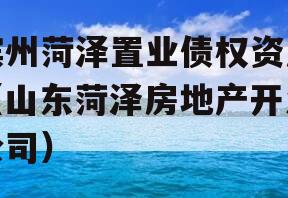 滨州菏泽置业债权资产（山东菏泽房地产开发公司）