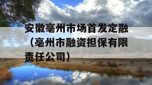 安徽亳州市场首发定融（亳州市融资担保有限责任公司）