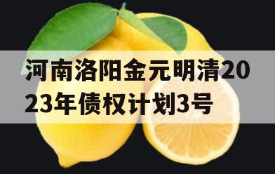 河南洛阳金元明清2023年债权计划3号