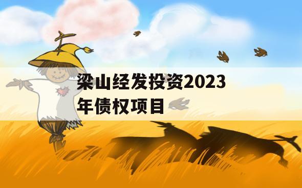 梁山经发投资2023年债权项目