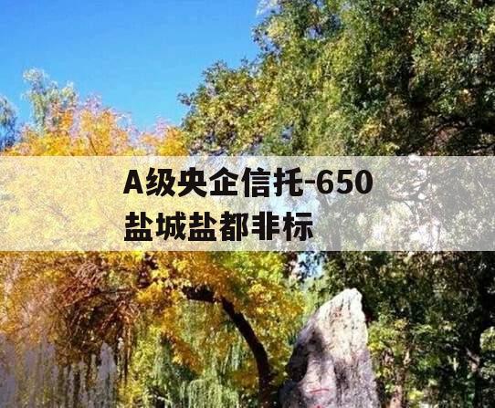 A级央企信托-650盐城盐都非标