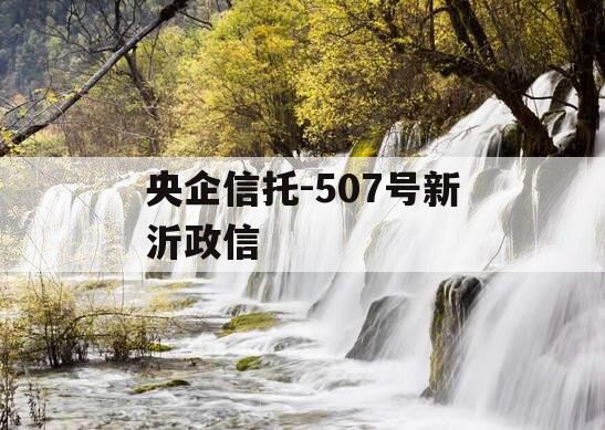 央企信托-507号新沂政信