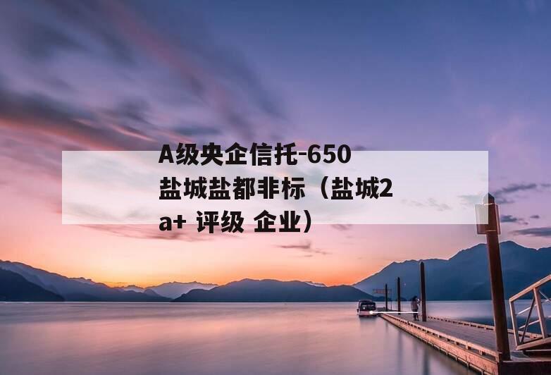 A级央企信托-650盐城盐都非标（盐城2a+ 评级 企业）