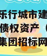 安徽乐行城市建设2023年债权资产（安徽乐行集团招标网）