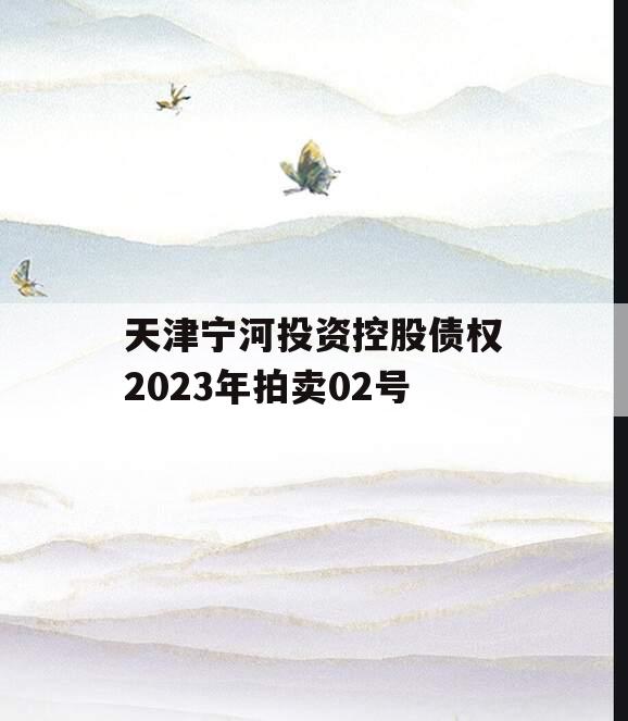 天津宁河投资控股债权2023年拍卖02号