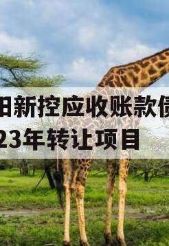 咸阳新控应收账款债权2023年转让项目