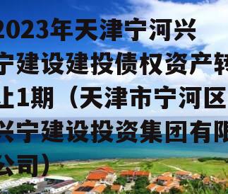 2023年天津宁河兴宁建设建投债权资产转让1期（天津市宁河区兴宁建设投资集团有限公司）