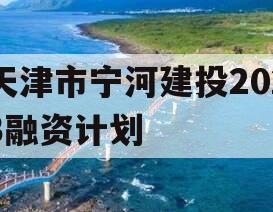 天津市宁河建投2023融资计划