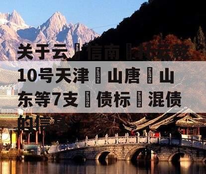 关于云‮信南‬托云乾10号天津‮山唐‬山东等7支‮债标‬混债的信息