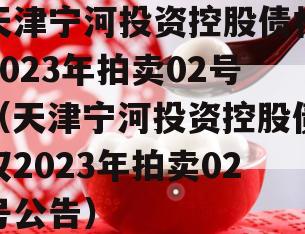 天津宁河投资控股债权2023年拍卖02号（天津宁河投资控股债权2023年拍卖02号公告）