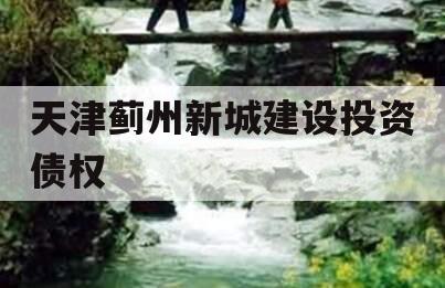 天津蓟州新城建设投资债权