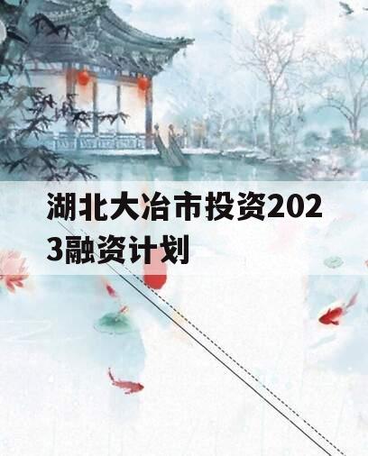 湖北大冶市投资2023融资计划