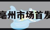 安徽亳州市场首发定融