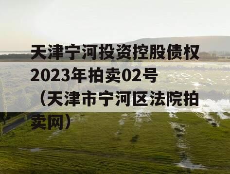 天津宁河投资控股债权2023年拍卖02号（天津市宁河区法院拍卖网）