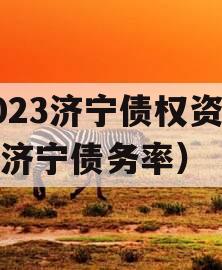 2023济宁债权资产（济宁债务率）