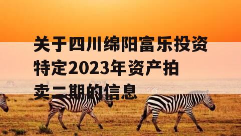 关于四川绵阳富乐投资特定2023年资产拍卖二期的信息