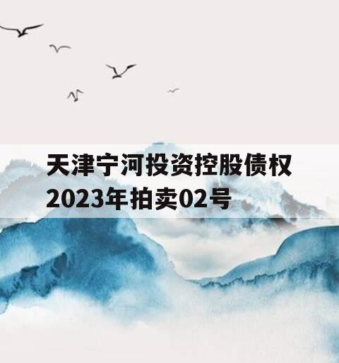 天津宁河投资控股债权2023年拍卖02号