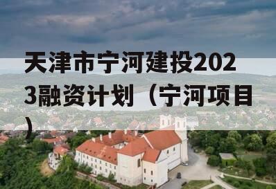 天津市宁河建投2023融资计划（宁河项目）