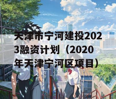 天津市宁河建投2023融资计划（2020年天津宁河区项目）