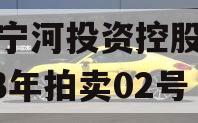 天津宁河投资控股债权2023年拍卖02号