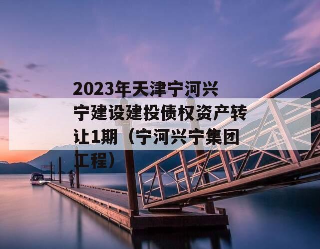 2023年天津宁河兴宁建设建投债权资产转让1期（宁河兴宁集团工程）