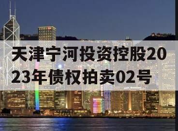 天津宁河投资控股2023年债权拍卖02号