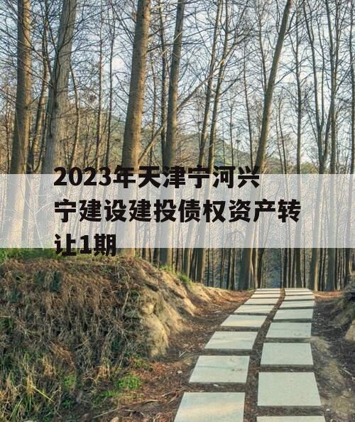 2023年天津宁河兴宁建设建投债权资产转让1期