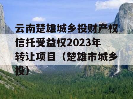 云南楚雄城乡投财产权信托受益权2023年转让项目（楚雄市城乡投）