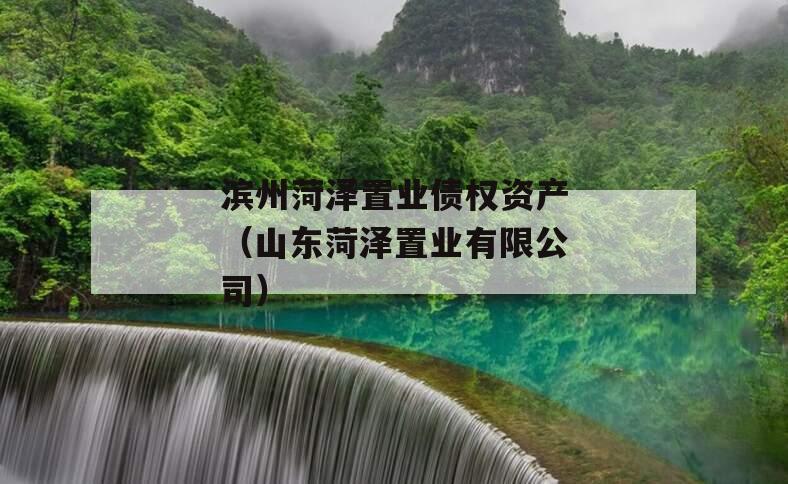 滨州菏泽置业债权资产（山东菏泽置业有限公司）