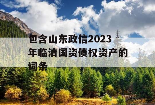 包含山东政信2023年临清国资债权资产的词条