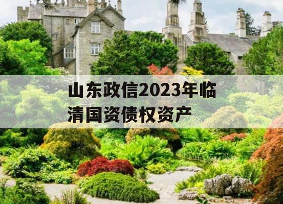 山东政信2023年临清国资债权资产