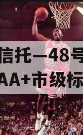 大业信托—48号湖南郴州AA+市级标债