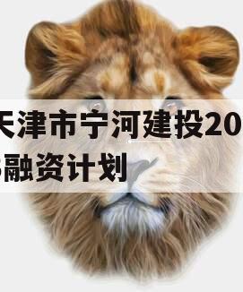 天津市宁河建投2023融资计划