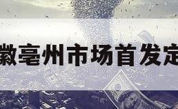 安徽亳州市场首发定融