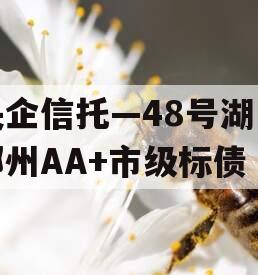 央企信托—48号湖南郴州AA+市级标债