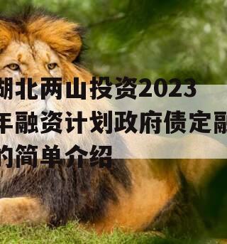 湖北两山投资2023年融资计划政府债定融的简单介绍