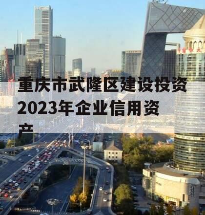 重庆市武隆区建设投资2023年企业信用资产