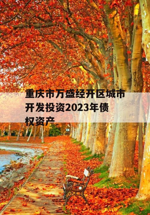 重庆市万盛经开区城市开发投资2023年债权资产