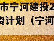 天津市宁河建投2023融资计划（宁河区城投）