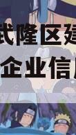 重庆市武隆区建设投资2023年企业信用资产