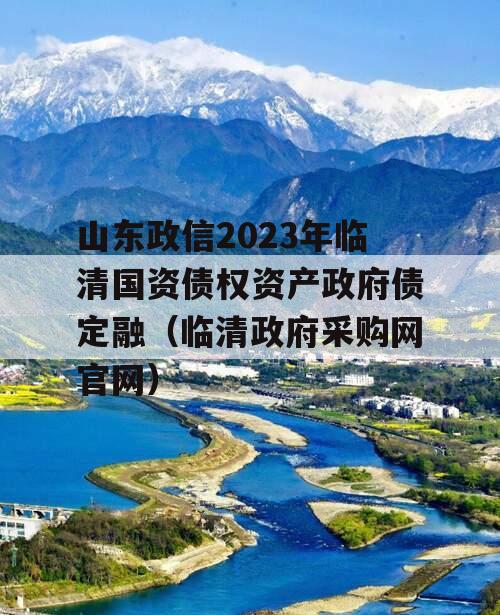 山东政信2023年临清国资债权资产政府债定融（临清政府采购网官网）