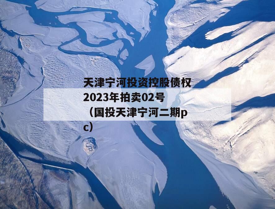 天津宁河投资控股债权2023年拍卖02号（国投天津宁河二期pc）