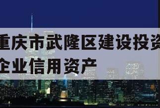 重庆市武隆区建设投资企业信用资产