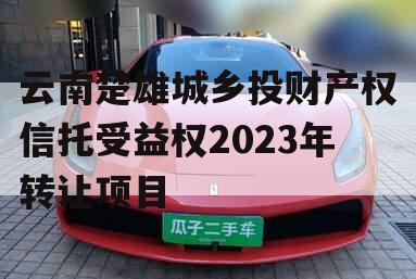 云南楚雄城乡投财产权信托受益权2023年转让项目