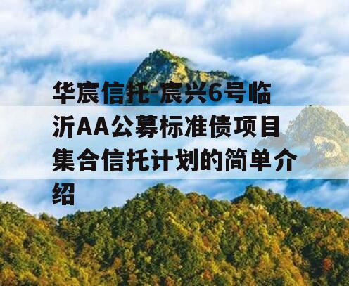 华宸信托-宸兴6号临沂AA公募标准债项目集合信托计划的简单介绍