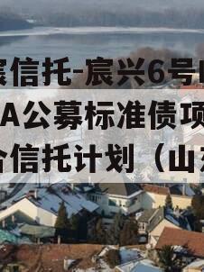 华宸信托-宸兴6号临沂AA公募标准债项目集合信托计划（山东宸兴）