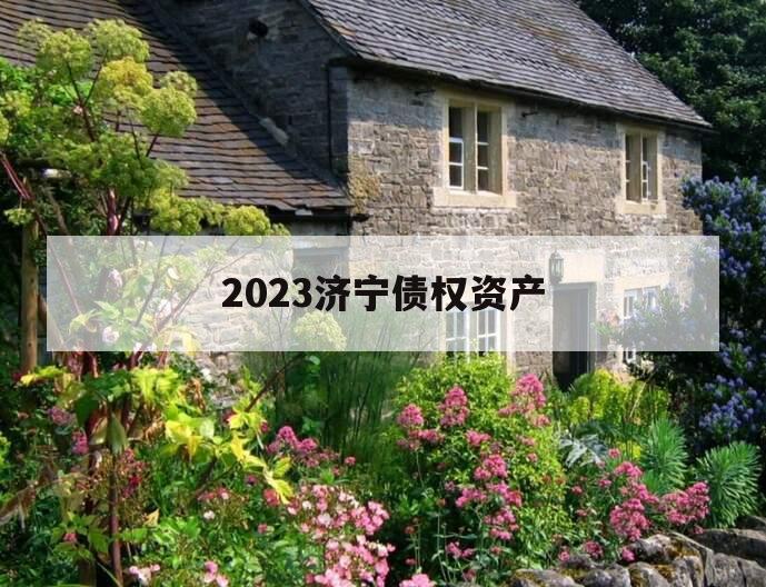 2023济宁债权资产